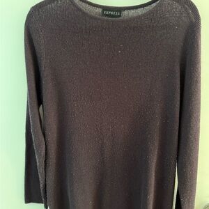 Express Women's purple Crew Neck Sweater